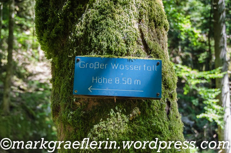 Wanderung Hotzenwald Höllbach 66